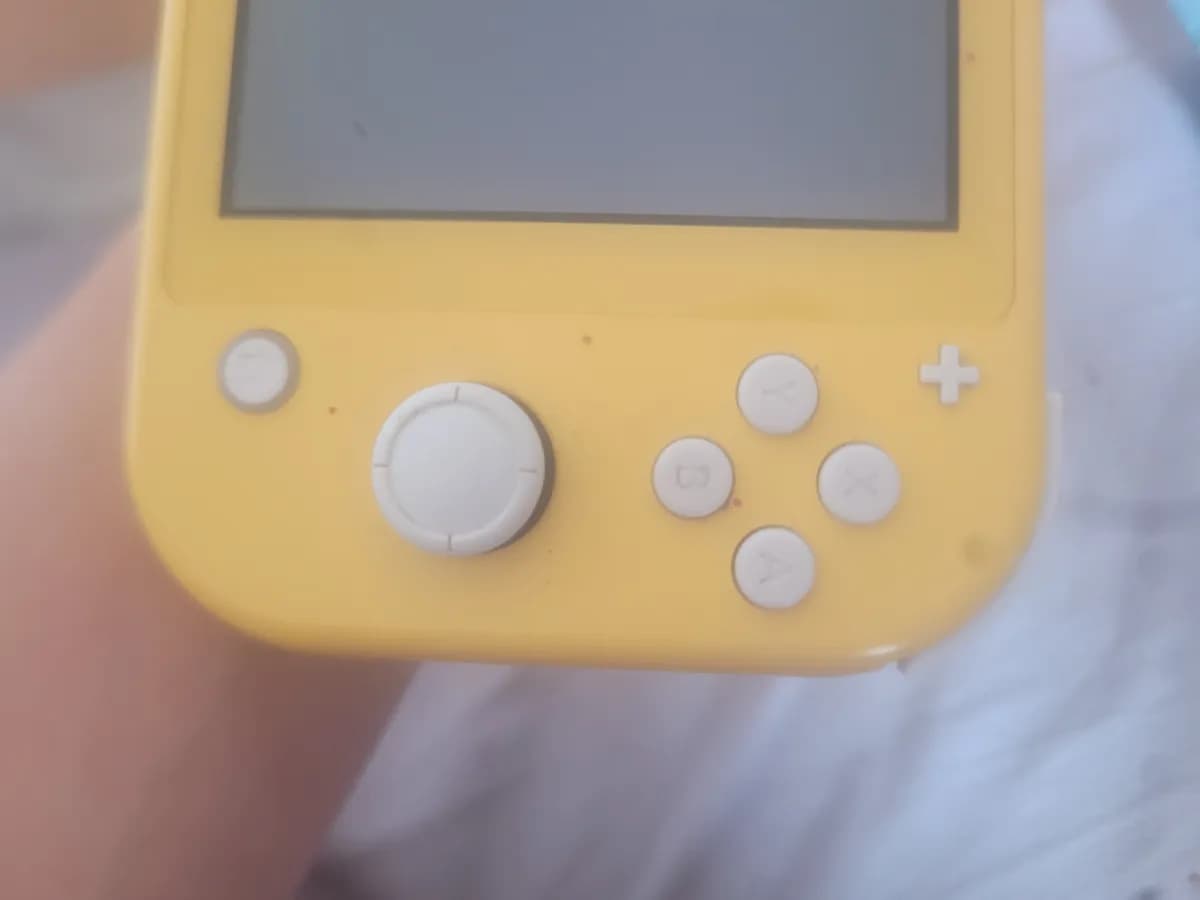 Nintendo switch lite