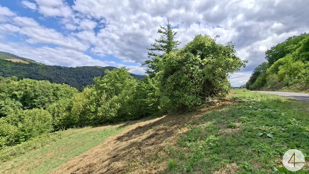 Idyllische Hanglage im Weitental - Bild 1