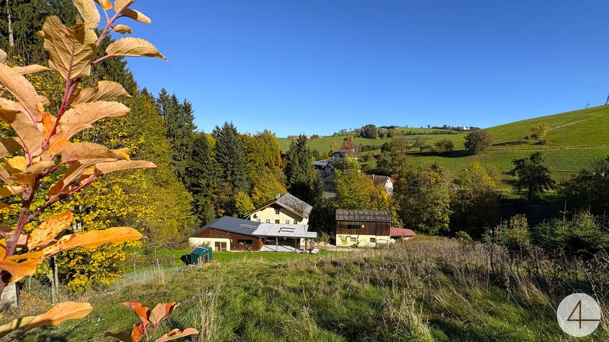 Alleinruhelage! Wohlfühloase im Wald!
